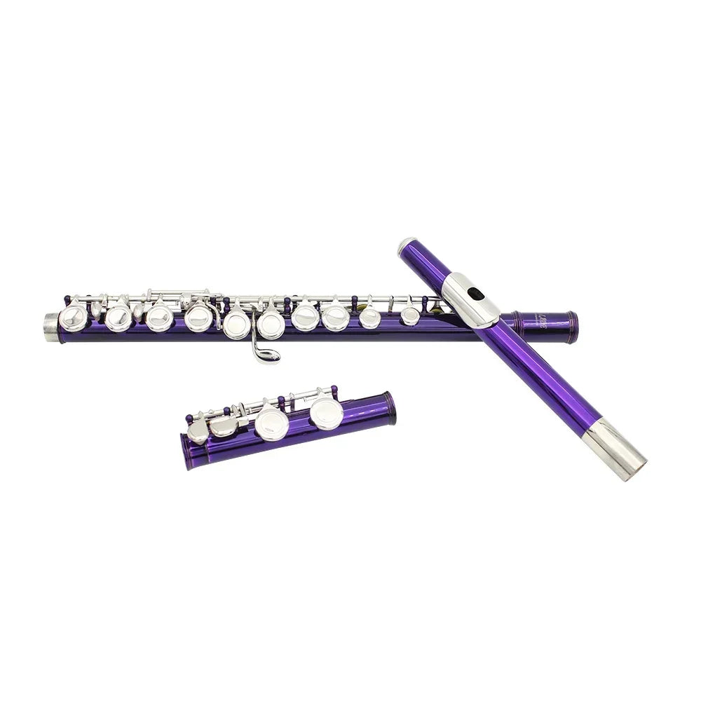 SLADE 16 Holes C Tone Flute With E Key Purple Professional Woodwind Instrument Closed Key Cupronickel Tube Flute Beginner Kit